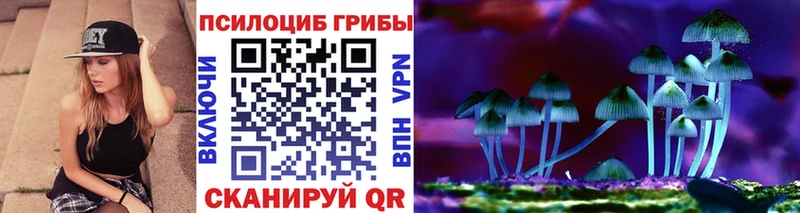 хочу наркоту  Шахунья  Галлюциногенные грибы MAGIC MUSHROOMS 